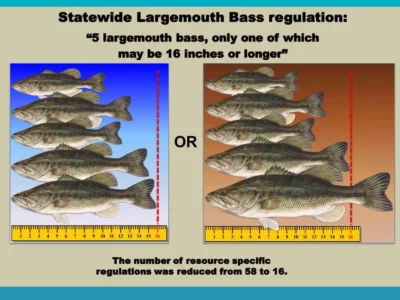 Florida Black Bass Management Plan