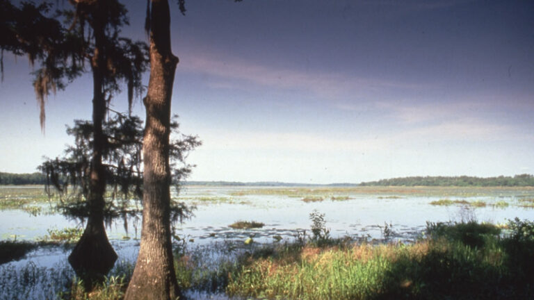 Lake Jackson, Florida