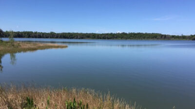 Lake Wauburg, FL