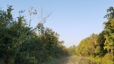 Lake Woodruff 10 Lake Woodruff