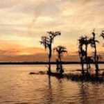 Palestine Lake thumbnail