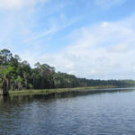 Palestine Lake thumbnail