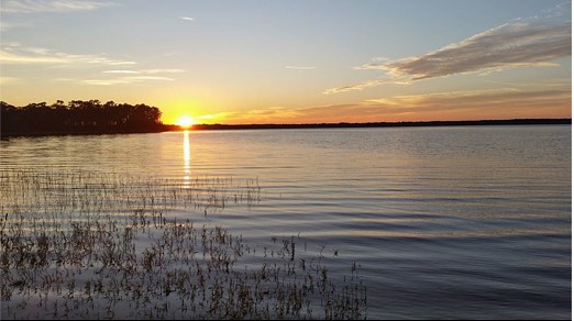 Ocala Forest Lakes 4 freecamping 1442422740 1075442350569165405 2176326411