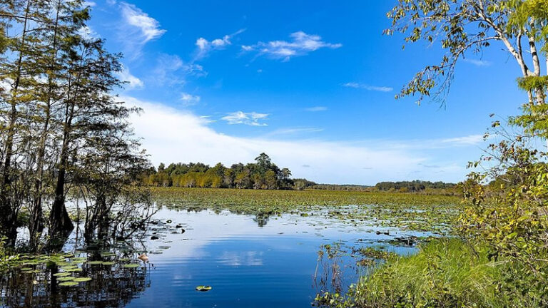 Lake Iamonia Florida