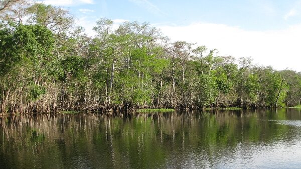 Apalachicola River photo