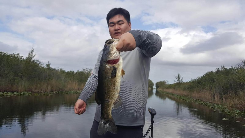Everglades Largemouth Bass Fishing Action with Capt Tony 1 Everglades Largemouth Bass Fishing Action with Capt Tony