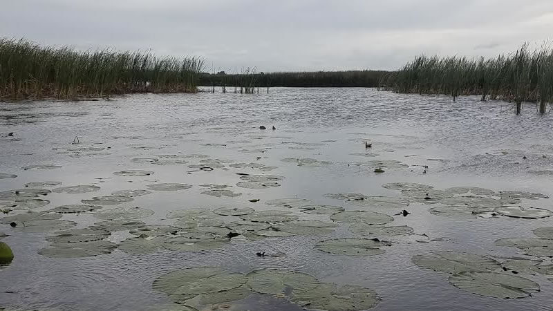 Bass fishing On Okeechobee After The Cold Front 1 Bass fishing On Okeechobee After The Cold Front