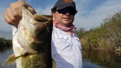 Bass Assassin Artificial Everglades Holiday Park Bass Fishing