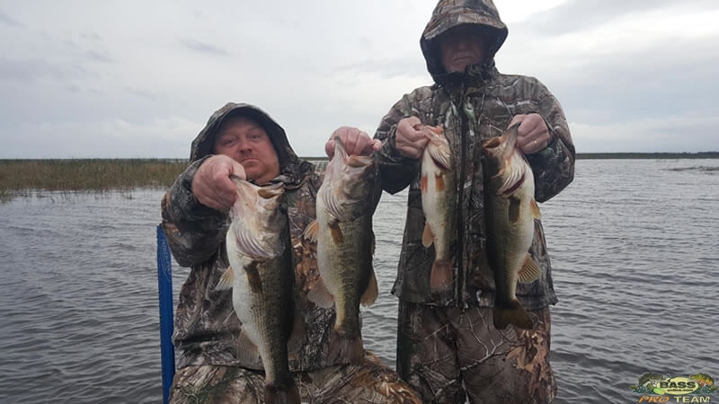 Clewiston Bass Fishing Charter