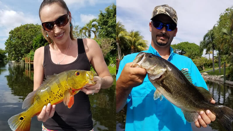 Chasing Exotic Peacock Bass 1 Chasing Exotic Peacock Bass