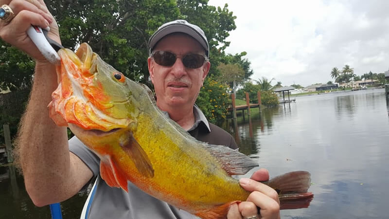 Golf Buddies Bass Fishing 1 Golf Buddies Bass Fishing