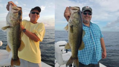 Productive Largemouth Bass Fishing Trips