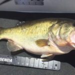 Lake Trafford thumbnail