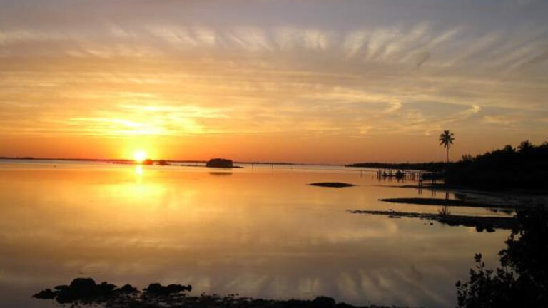 Ocala, FL 8 Ocala, FL