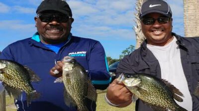 Crappie is abundant in Lake Berryessa year round