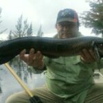 Markham Park thumbnail