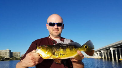 Airport Main Lake Fishing for Peacock Bass in Miami Florida