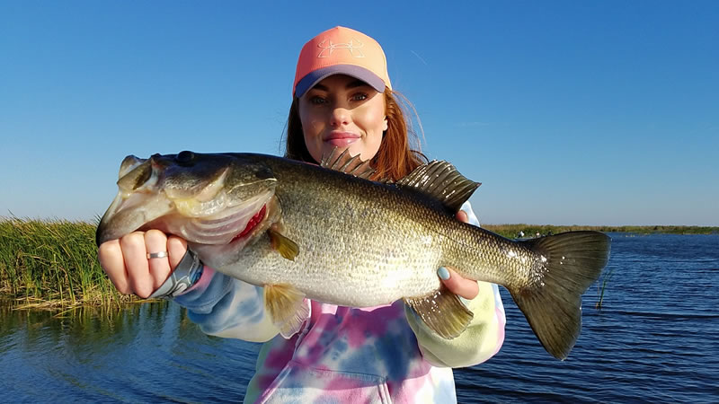 Social Media Bass Fishing