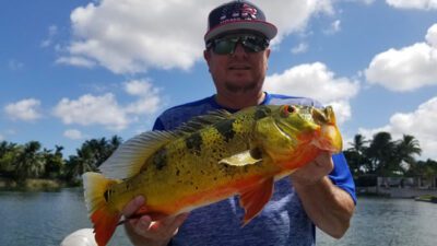 Bucket List Fishing Trip in Miami for Florida Peacock Bass