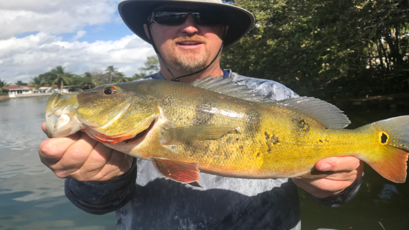 Bucket List Peacock Fishing Charter in South Florida 1 Bucket List Peacock Fishing