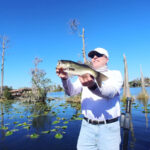 Lake Fairview thumbnail