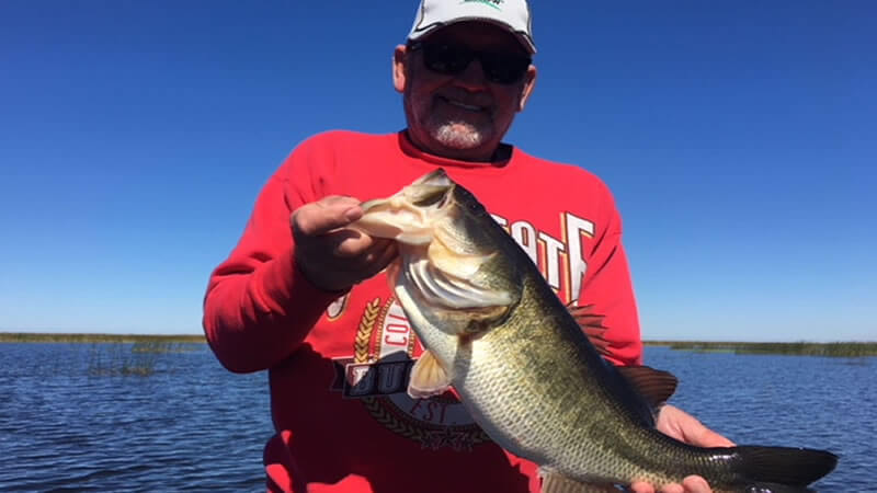 Lake Blue Cypress photo