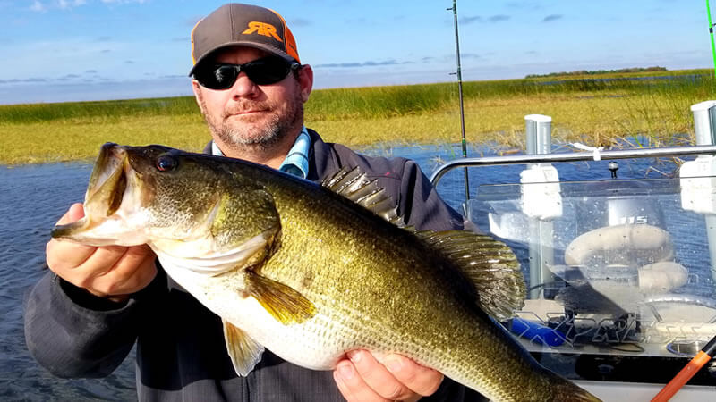 Lake Blue Cypress photo