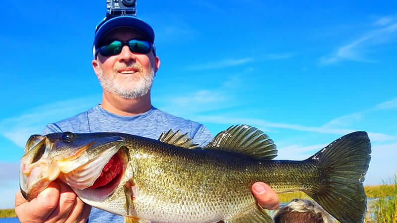 Lake Blue Cypress photo