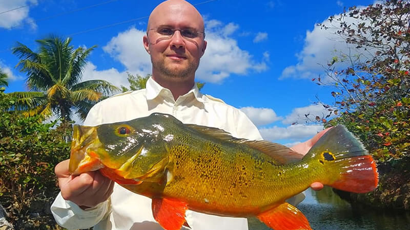 Three Different Species Fishing 1