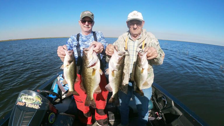 Eager Okeechobee Bass Fishing