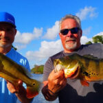 Snapper Creek Canal thumbnail
