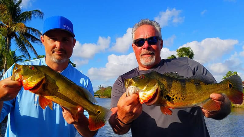 Snapper Creek Canal photo