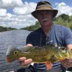 Markham Park thumbnail