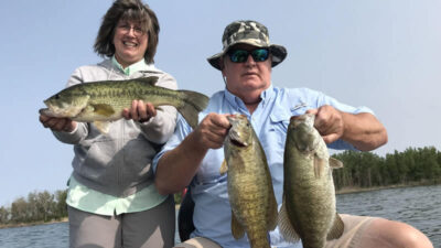 Various fish species found in Black Lake, including bass and bluegill.