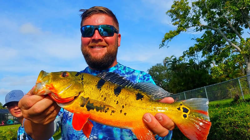 Summer Rain Exotic Fishing for Miami Florida Peacock Bass 1 Summer Rain Exotic Fishing