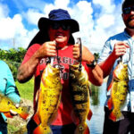 Tamiami Canal thumbnail