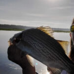 Big Sand Lake thumbnail