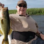 Lake Panasoffkee thumbnail