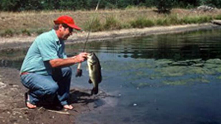 Pond Fishing for bass - fishing best lure for pond fishing
