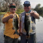 Haines Creek thumbnail