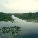 Lake Miccosukee thumbnail