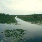 Lake Miccosukee thumbnail