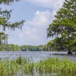 Lake Apopka thumbnail