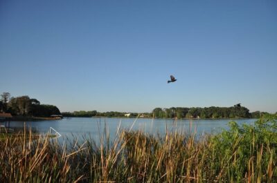 Lake Fairview Orlando Fl