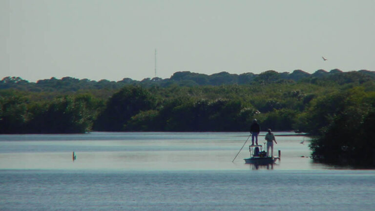 Indian River fishing near fishing in New Smyrna Beach