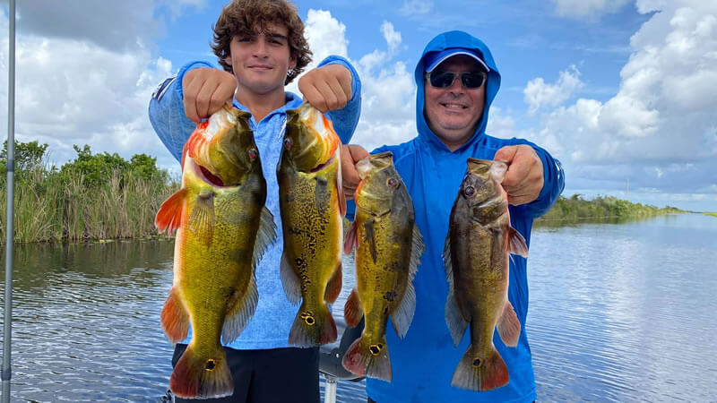 Peacock Bass Fishing Charter