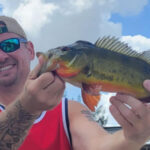 Markham Park thumbnail