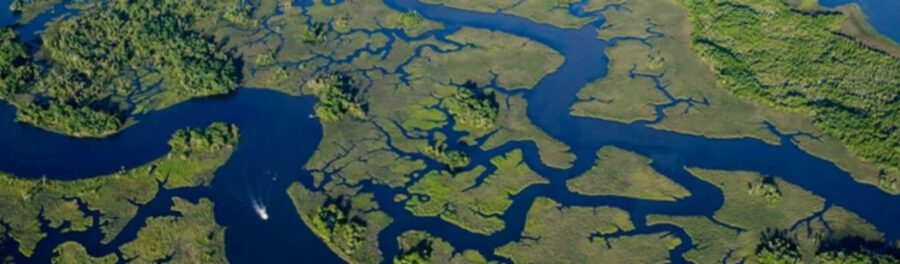 Withlacoochee River region