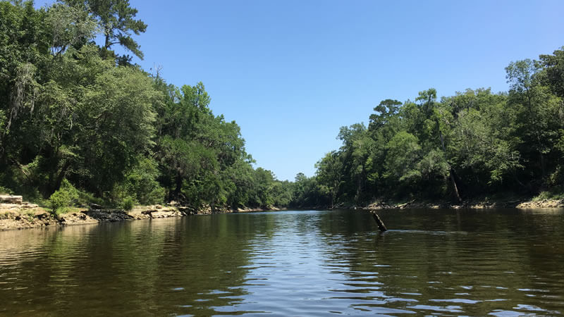 Withlacoochee River photo