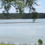 Javors Lucas Lake thumbnail